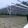 千葉県のソーラーシェアリング見学の画像