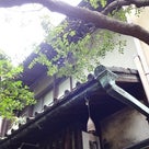 大阪の旅✩③の記事より