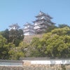 歴史的遺構の保存について考えるの画像