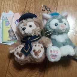 画像 購入品 と グルメ TT の記事より 1つ目