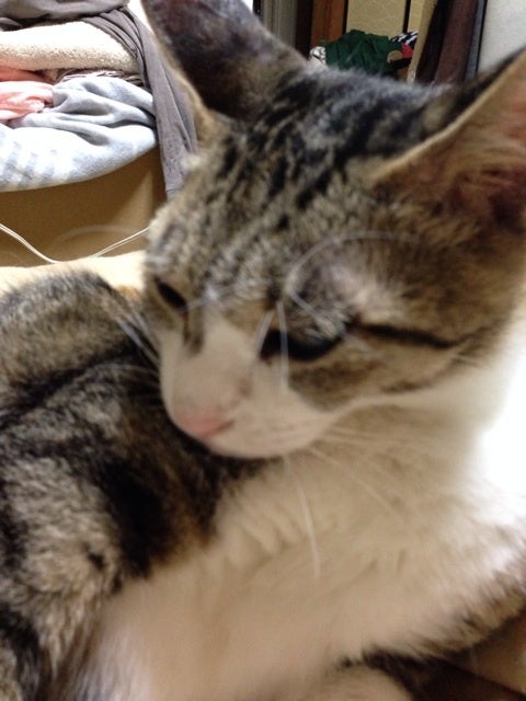 photo:02