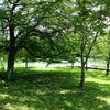 ウォーキング(*^^*)の画像