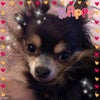 今日の1枚☆の画像