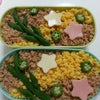 七夕弁当。の画像