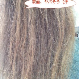 画像 怒濤の忙しさ・・・ の記事より 1つ目