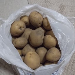 画像 今週もよく頑張りました・・まる！！ の記事より 1つ目