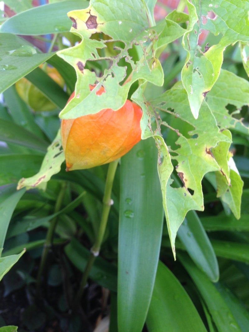 __.JPG