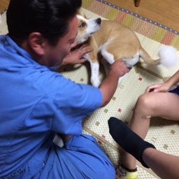 画像 誕生日(^o^) の記事より 3つ目