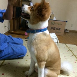 画像 誕生日(^o^) の記事より 4つ目