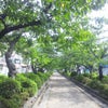 苦手の画像
