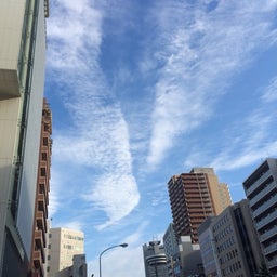 投稿写真