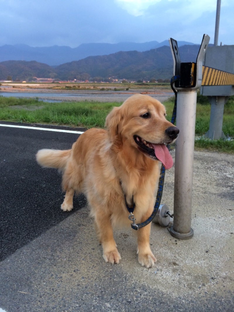 ホットウィークも終了の記事画像