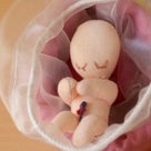 妊娠３ヶ月、４ヶ月、５ヶ月 実物大手作り　【医療教材用胎児人形】の記事より