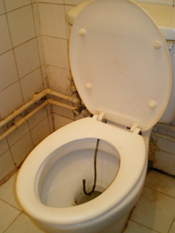 世界 で 一 番 汚い トイレ
