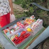 団子盗み　９/８　の画像
