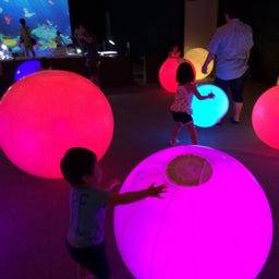 画像 未来の遊園地 の記事より 1つ目