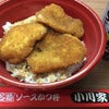 福井:搬入終了〜おうちご飯の画像