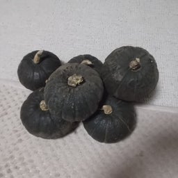 画像 何なんでしょうかねぇ・・？？ の記事より 1つ目