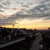 今日もの画像