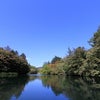 2014秋 軽井沢「雲場池」の画像