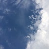 美コラン…NOHARAの画像