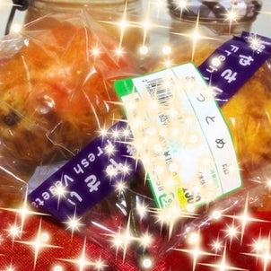 それぞれの体内時間の画像