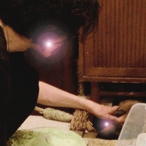 体験を経験に変える？！の画像