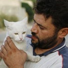 激戦の続くシリアで放置された猫を救う反政府軍の「猫大佐」（追記：画像追加）の記事より