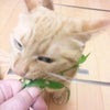 食欲の秋？の画像
