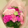 はじめてのお花：ＢＤの画像