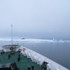 【南極ツアー】ついに南極上陸!!の画像