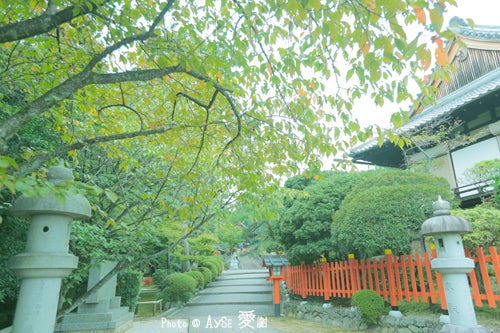 京都　建勲神社