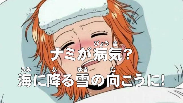 第78話 ナミが病気 海に降る雪の向こうに ワンピース One Piece アニメのあらすじ動画ブログ