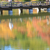昭和記念公園の画像