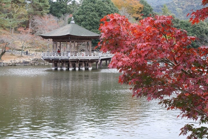 奈良公園の紅葉・鷲池と浮見堂