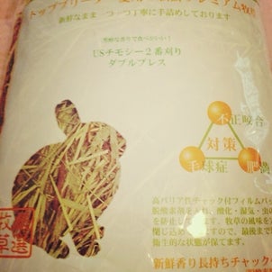 have a break ♪( ´▽｀)の画像