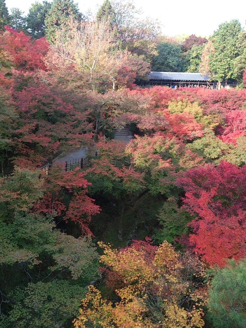 投稿写真