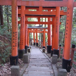 投稿写真