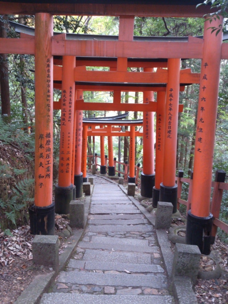 投稿写真