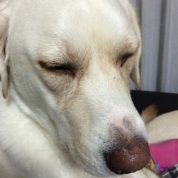 画像 ぐちぐち（笑） の記事より 3つ目