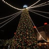 Downtown Disney クリスマスの画像