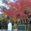 金城初子先生と巡る奈良の三社参り　３の画像