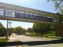 ブランダイス大学、留学