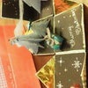 箱をあけると･･･MerryX'mas☆の画像
