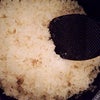 お米が〜！！！！！の画像