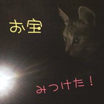 ブログ投稿画像