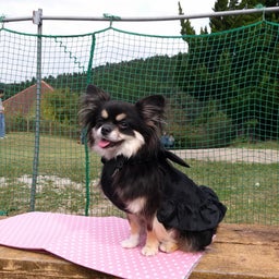 画像 すいらんフェスタで出会ったモデルさん達 の記事より 8つ目