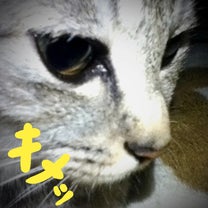 ブログ投稿画像