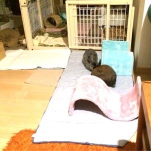1日のkeiは朝にありの画像