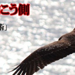 画像 ヘッダー画像サンプル  5千円～9千円。 の記事より 1つ目
